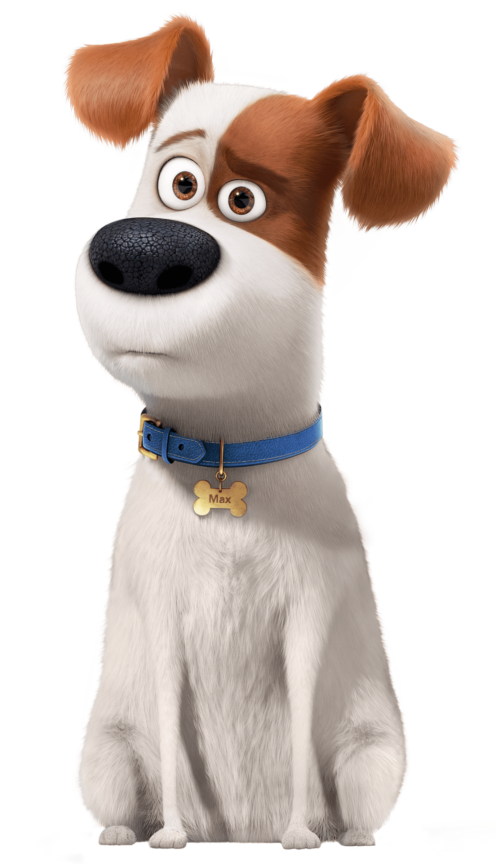 Max The Secret Life Of Pets Png Pngtotal max-the-secret-life-of-pets-png-pngtotal